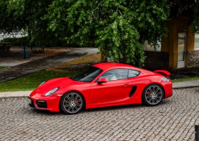 Porsche Cayman GTS (981)